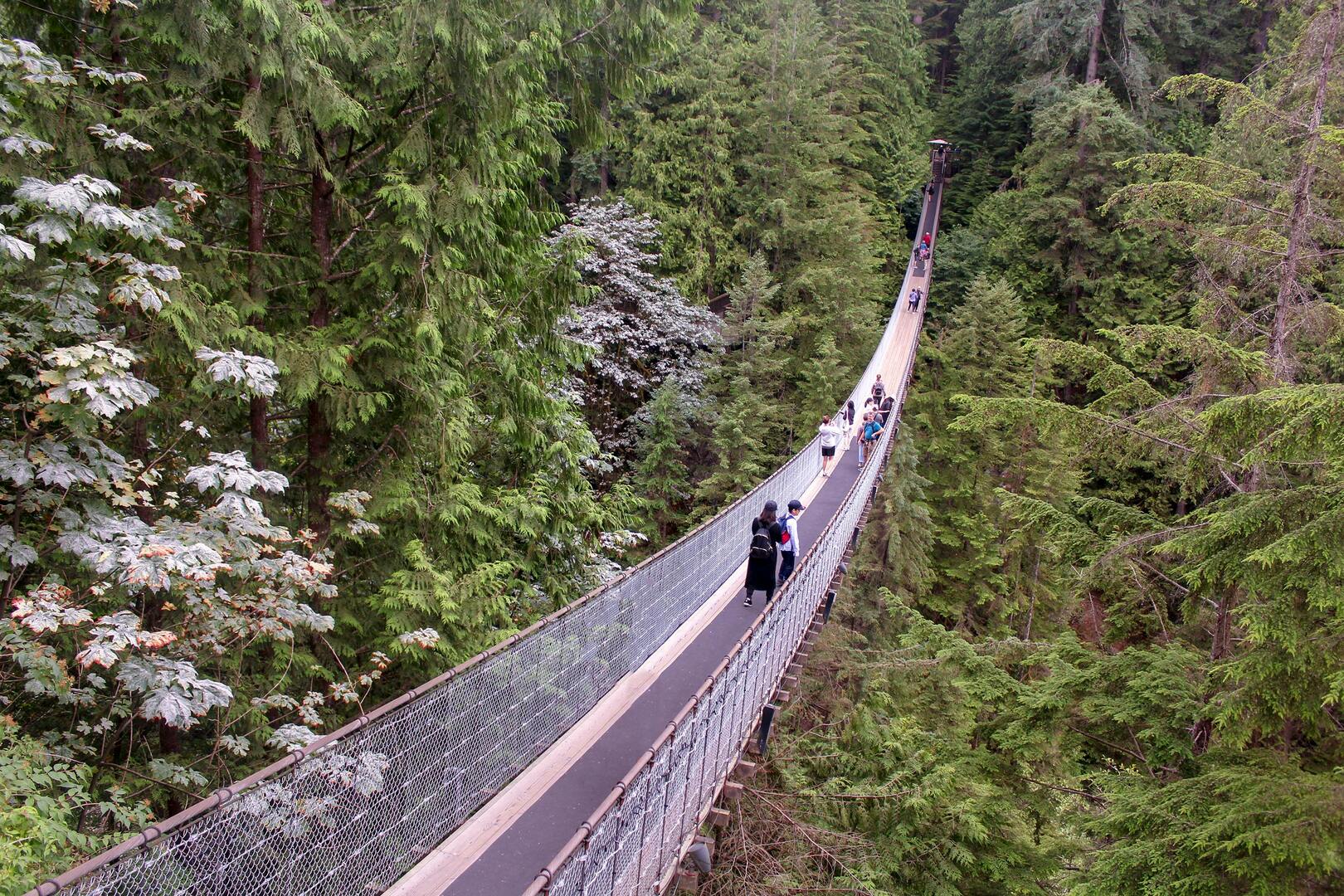 Capilano Suspension Bridge stretching over a forested canyon in Vancouver